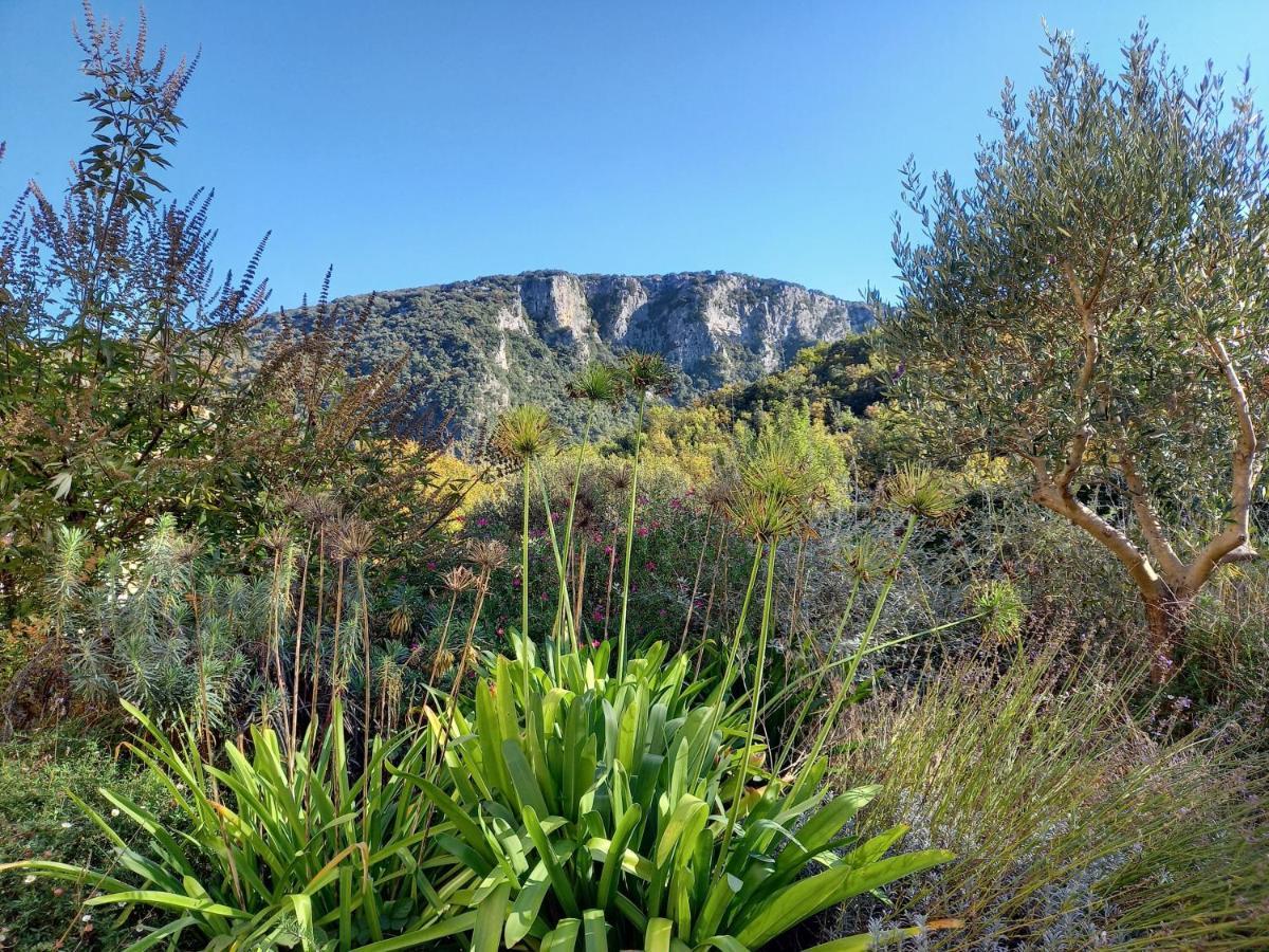 Gite En Cevennes Du Sud, Bergerie Restauree Au Rez De Jardin D'Une Bastide Avec Piscine, Vue Exceptionnelle, Authenticite Et Confort Saint-Laurent-le-Minier Luaran gambar
