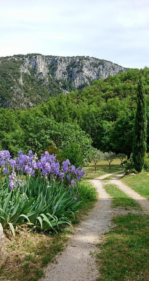 Gite En Cevennes Du Sud, Bergerie Restauree Au Rez De Jardin D'Une Bastide Avec Piscine, Vue Exceptionnelle, Authenticite Et Confort Saint-Laurent-le-Minier Luaran gambar